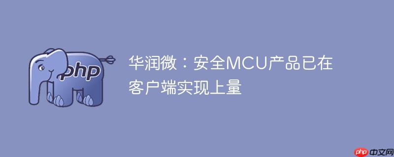 华润微：安全MCU产品已在客户端实现上量