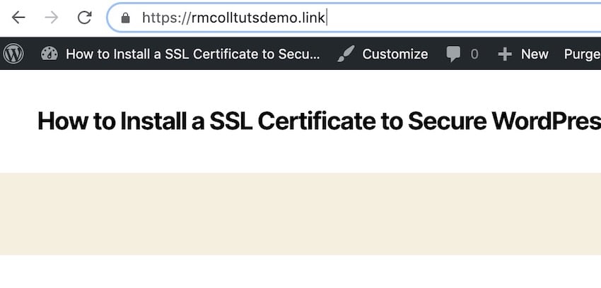 保护 WordPress 安全:安装 SSL 证书的分步指南 保护 WordPress 安全:安装 SSL 证书的分步指南