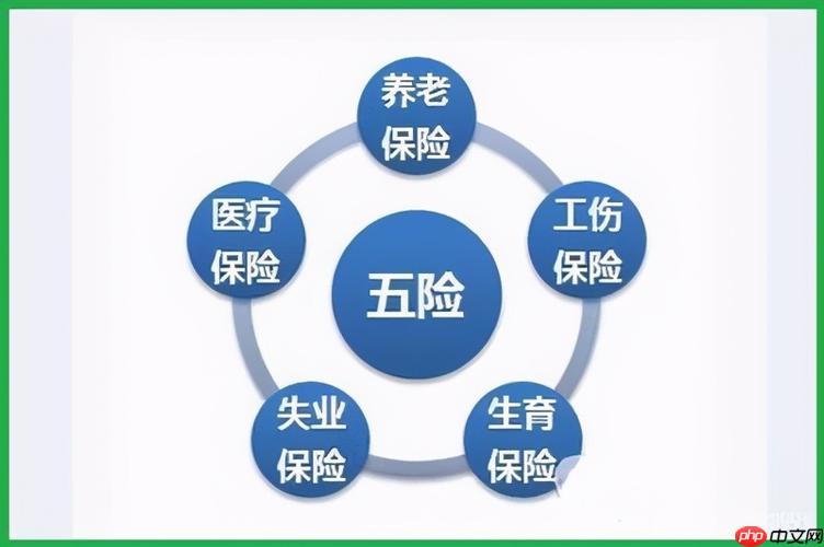 五险一金怎么交 五险一金缴纳方式及流程介绍