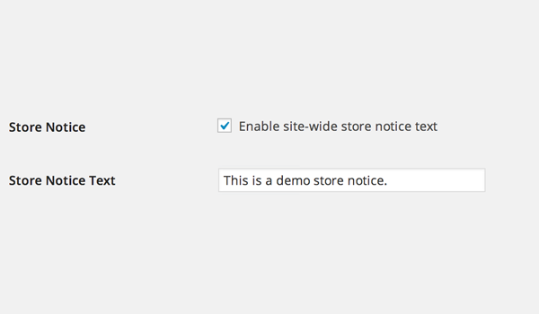 WooCommerce 常规设置:初学者综合指南 WooCommerce 常规设置:初学者综合指南
