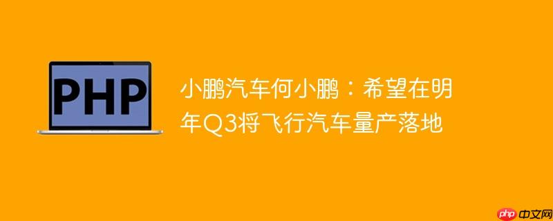小鹏汽车何小鹏：希望在明年Q3将飞行汽车量产落地