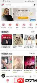 网易云音乐如何设置仅自己可见的歌单