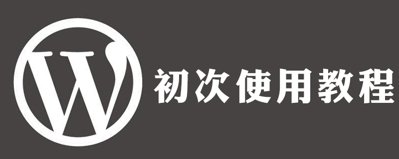 选择一个WordPress主题