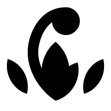 云顶之弈S12羁绊大全