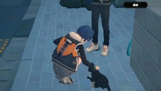 绝区零把小猫带回家任务攻略 绝区零把小猫带回家任务攻略