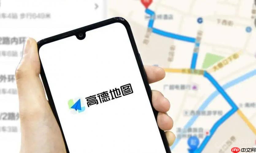 高德导航如何删除已有车牌号 车牌信息管理教程