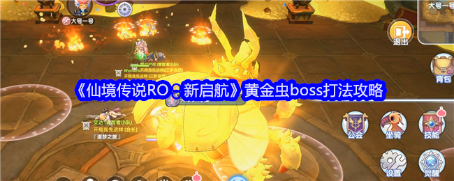 《仙境传说RO：新启航》黄金虫boss打法攻略