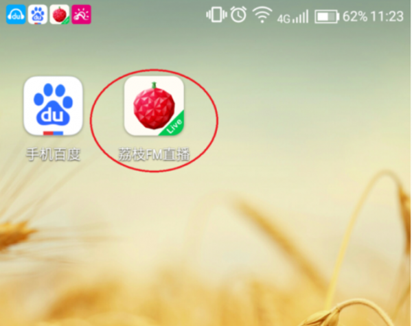 荔枝fm直播怎么听回放 直播听回放操作方法