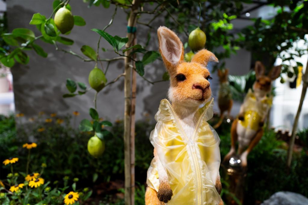 高素质大光圈便携超广角变焦 索尼 SEL1625G 镜头实拍体验