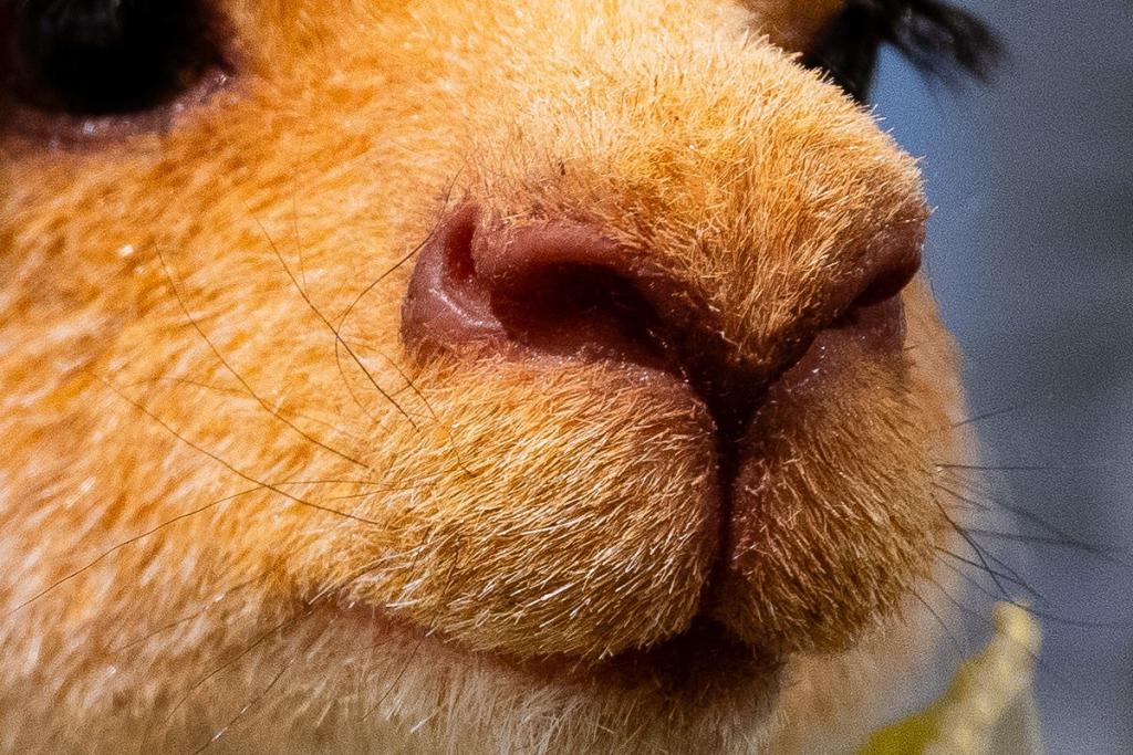 高素质大光圈便携超广角变焦 索尼 SEL1625G 镜头实拍体验