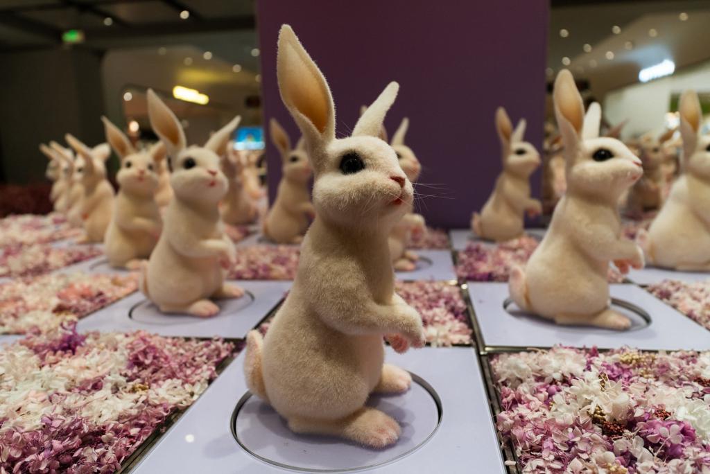 高素质大光圈便携超广角变焦 索尼 SEL1625G 镜头实拍体验