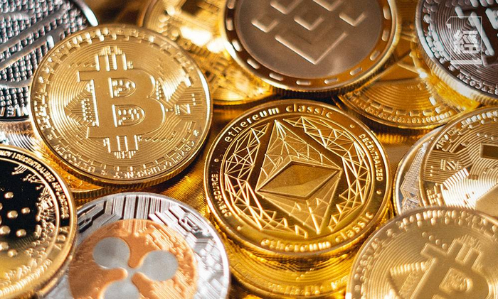 币圈狗庄是什么意思