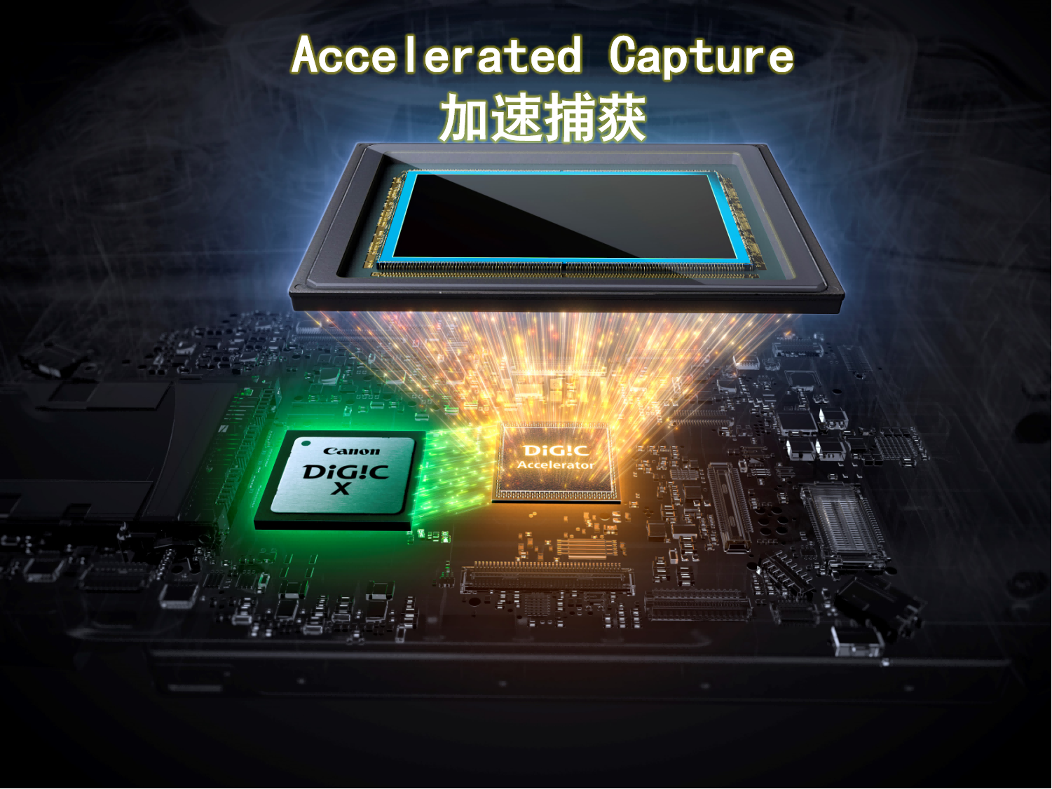 超越不止，再创1系辉煌，佳能发布旗舰全画幅专微相机EOS R1