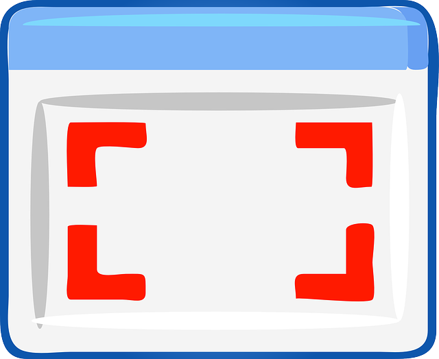 win11怎么截屏的文件在哪里