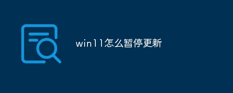 win11怎么暂停更新
