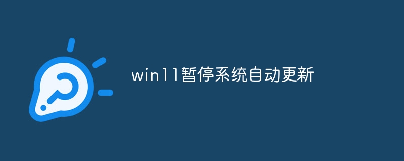 win11暂停系统自动更新