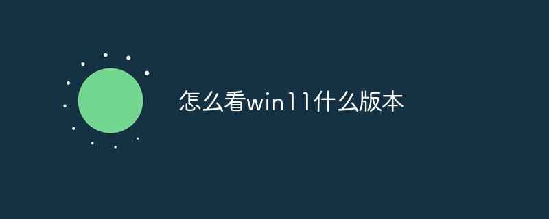 怎么看win11什么版本