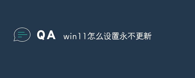 win11怎么设置永不更新