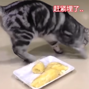 米哈游翻车了？《绝区零》节奏不止，到底哪出问题了？